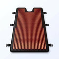 Red Light Therapy Mat Designed for Full Body Coverage, 2600 Dual-Wavelength LEDs, 660nm & 850nm, 75x35 Inch